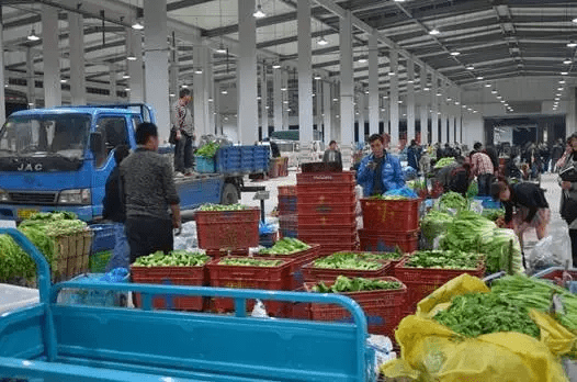 走遍上海不用愁！《上海生活指南 农产品篇》