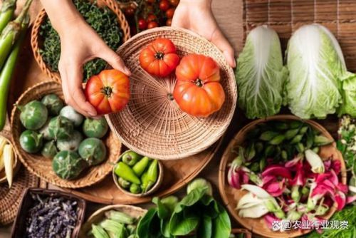 政策东风劲吹，九大模式引领农村电商新变革