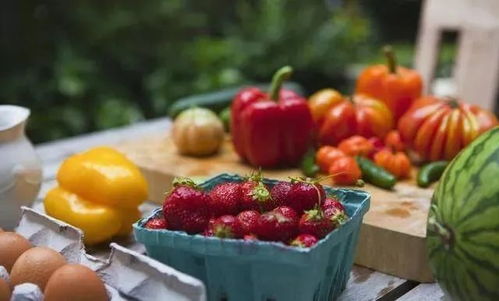 农业产业发展与农产品运营的核心挑战 供应链优化之路