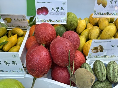瓜果飘香迎客来，特色农产品争“鲜”亮相——第26届冬交会探寻荆楚滋味