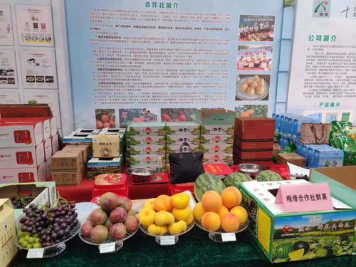 火爆宜城特色农产品展销会暨楚都美食节盛大开幕