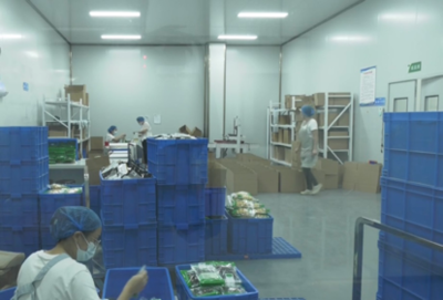 许昌市建安区河街乡 工厂建在家门口，就业增收有奔头，农产品焕发新生机