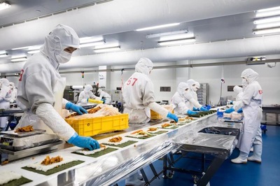 智慧田园新画卷 科技如何重塑金山现代农业生态